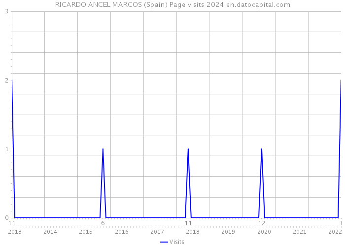 RICARDO ANCEL MARCOS (Spain) Page visits 2024 