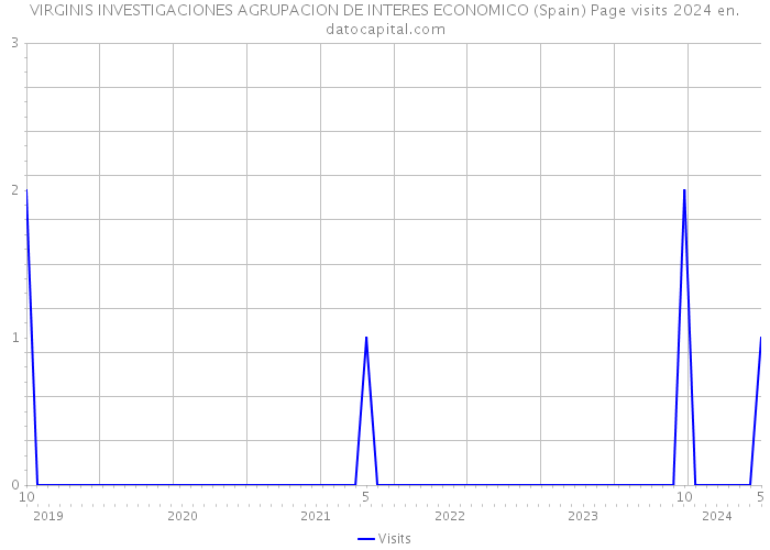VIRGINIS INVESTIGACIONES AGRUPACION DE INTERES ECONOMICO (Spain) Page visits 2024 