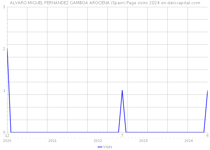 ALVARO MIGUEL FERNANDEZ GAMBOA AROCENA (Spain) Page visits 2024 