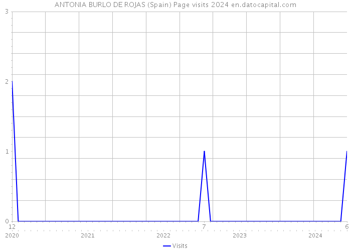 ANTONIA BURLO DE ROJAS (Spain) Page visits 2024 