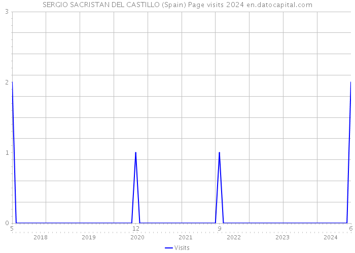 SERGIO SACRISTAN DEL CASTILLO (Spain) Page visits 2024 