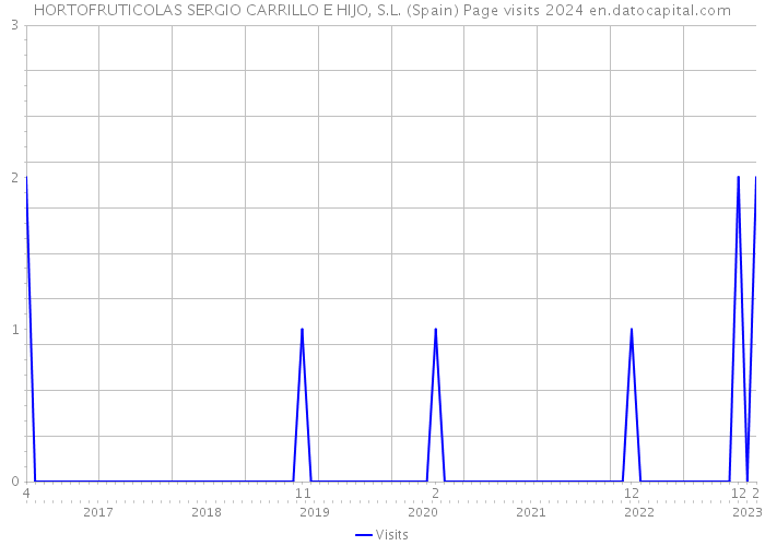 HORTOFRUTICOLAS SERGIO CARRILLO E HIJO, S.L. (Spain) Page visits 2024 