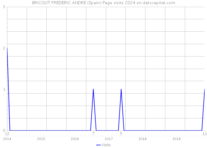 BRICOUT FREDERIC ANDRE (Spain) Page visits 2024 