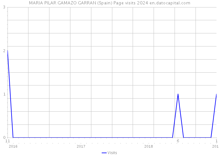 MARIA PILAR GAMAZO GARRAN (Spain) Page visits 2024 