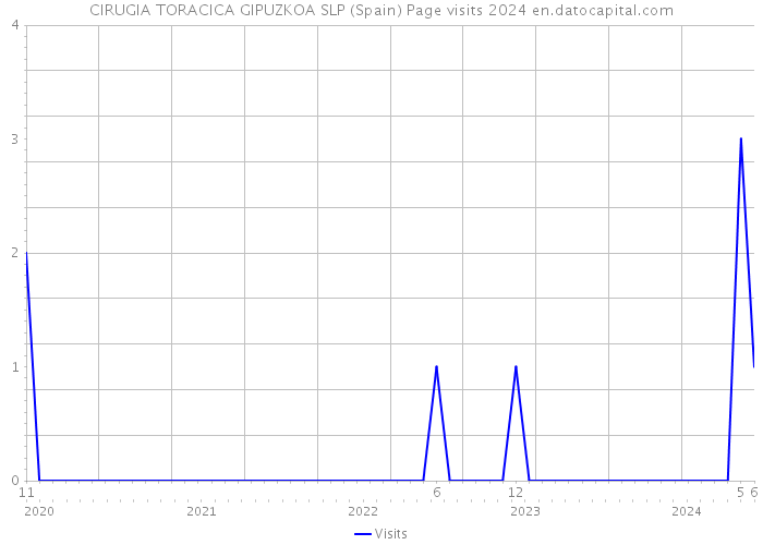 CIRUGIA TORACICA GIPUZKOA SLP (Spain) Page visits 2024 