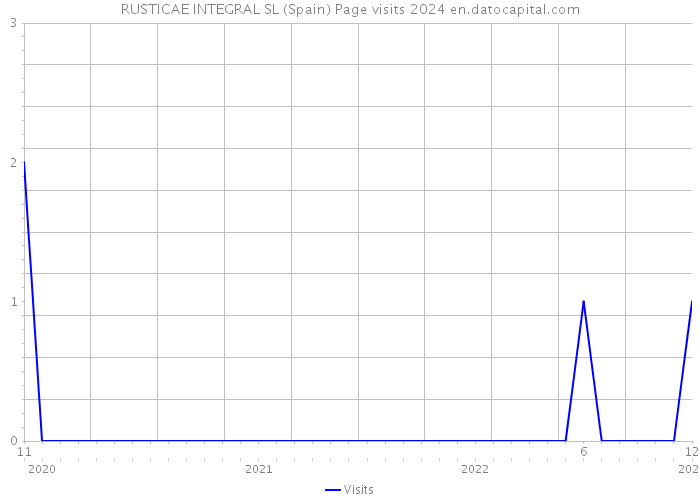 RUSTICAE INTEGRAL SL (Spain) Page visits 2024 
