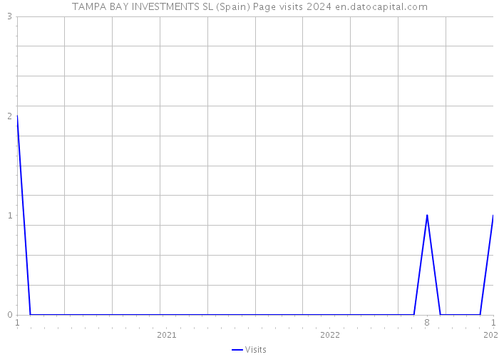 TAMPA BAY INVESTMENTS SL (Spain) Page visits 2024 