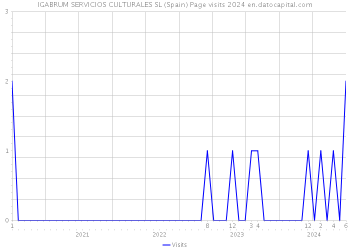 IGABRUM SERVICIOS CULTURALES SL (Spain) Page visits 2024 