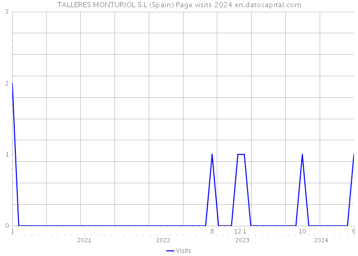 TALLERES MONTURIOL S.L (Spain) Page visits 2024 