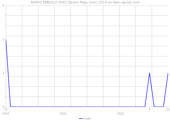 MARIO REBOLLO RUIZ (Spain) Page visits 2024 