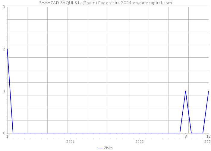 SHAHZAD SAQUI S.L. (Spain) Page visits 2024 