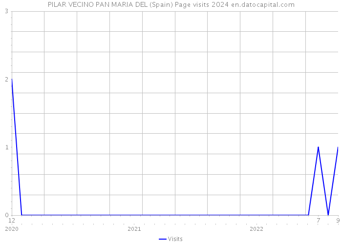 PILAR VECINO PAN MARIA DEL (Spain) Page visits 2024 