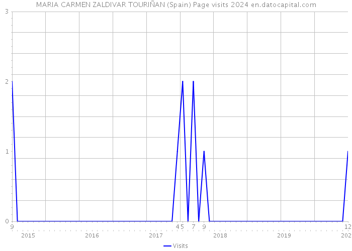 MARIA CARMEN ZALDIVAR TOURIÑAN (Spain) Page visits 2024 