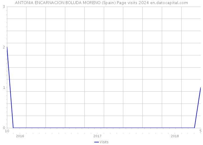 ANTONIA ENCARNACION BOLUDA MORENO (Spain) Page visits 2024 