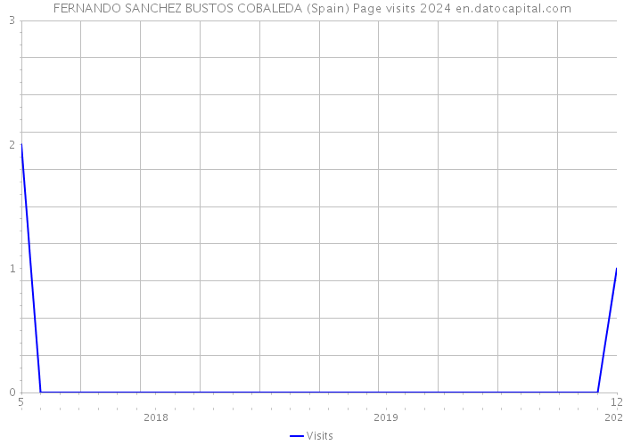 FERNANDO SANCHEZ BUSTOS COBALEDA (Spain) Page visits 2024 