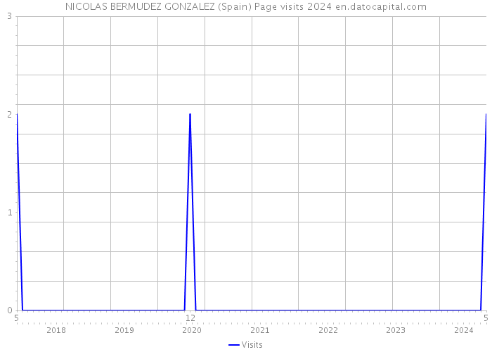 NICOLAS BERMUDEZ GONZALEZ (Spain) Page visits 2024 