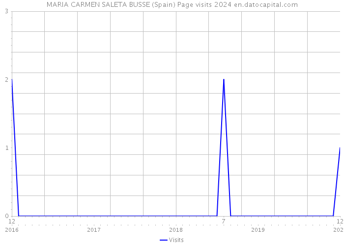 MARIA CARMEN SALETA BUSSE (Spain) Page visits 2024 