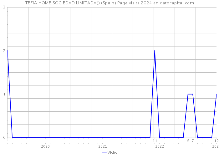 TEFIA HOME SOCIEDAD LIMITADA() (Spain) Page visits 2024 