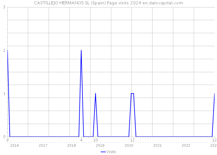 CASTILLEJO HERMANOS SL (Spain) Page visits 2024 