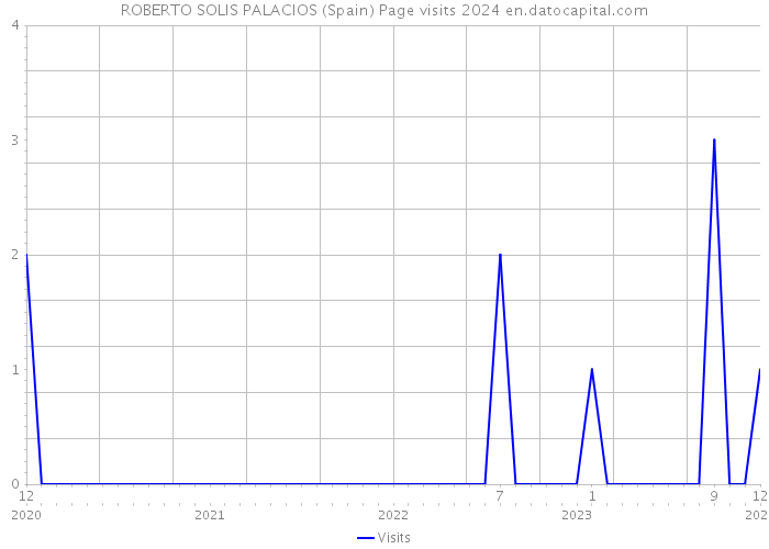 ROBERTO SOLIS PALACIOS (Spain) Page visits 2024 
