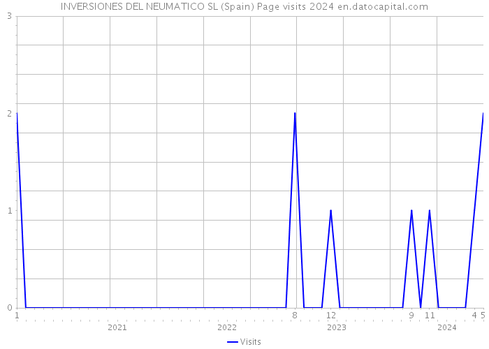 INVERSIONES DEL NEUMATICO SL (Spain) Page visits 2024 