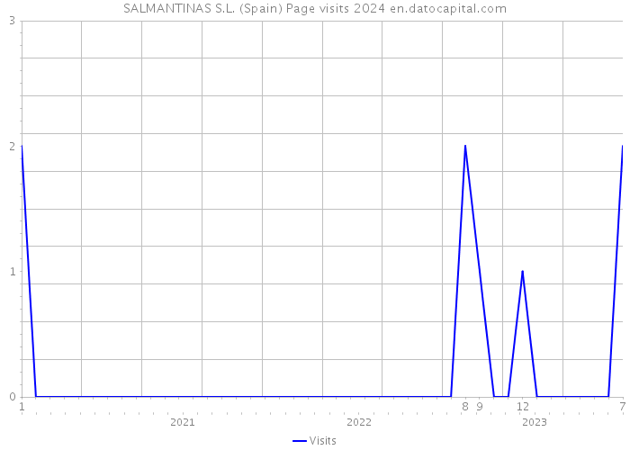 SALMANTINAS S.L. (Spain) Page visits 2024 