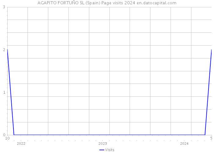 AGAPITO FORTUÑO SL (Spain) Page visits 2024 