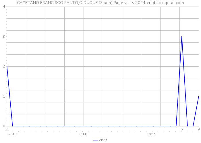 CAYETANO FRANCISCO PANTOJO DUQUE (Spain) Page visits 2024 