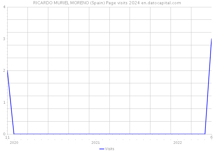 RICARDO MURIEL MORENO (Spain) Page visits 2024 