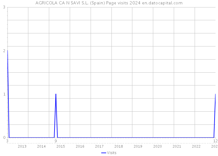 AGRICOLA CA N SAVI S.L. (Spain) Page visits 2024 