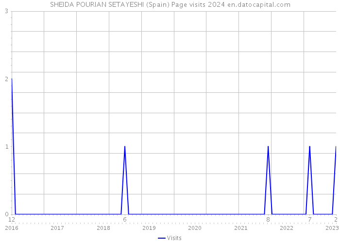 SHEIDA POURIAN SETAYESHI (Spain) Page visits 2024 