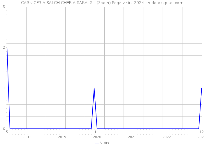 CARNICERIA SALCHICHERIA SARA, S.L (Spain) Page visits 2024 