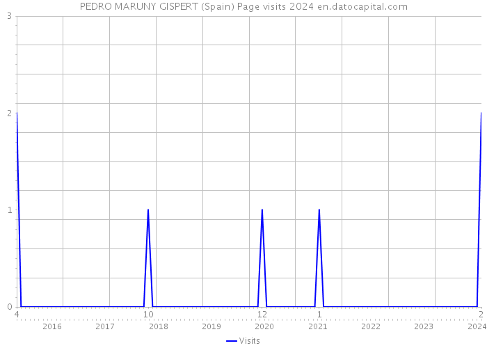 PEDRO MARUNY GISPERT (Spain) Page visits 2024 