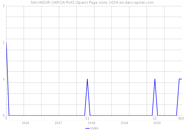 SALVADOR GARCIA RUIZ (Spain) Page visits 2024 