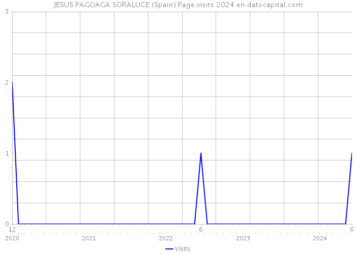 JESUS PAGOAGA SORALUCE (Spain) Page visits 2024 