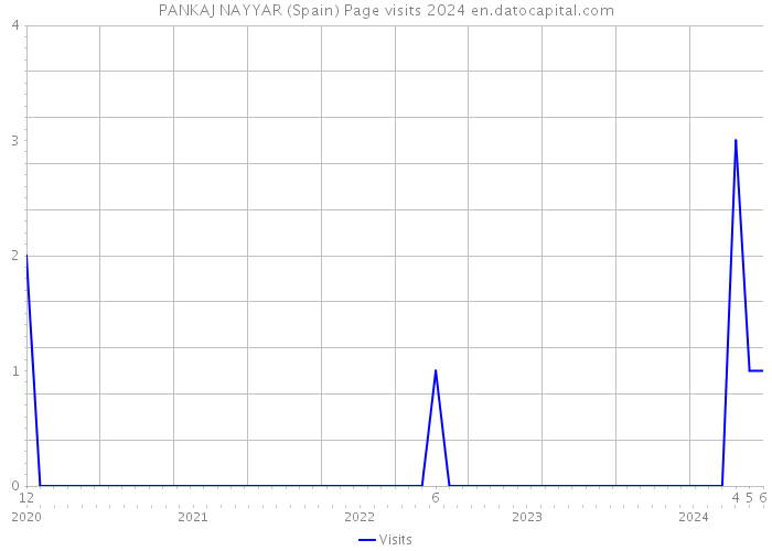 PANKAJ NAYYAR (Spain) Page visits 2024 