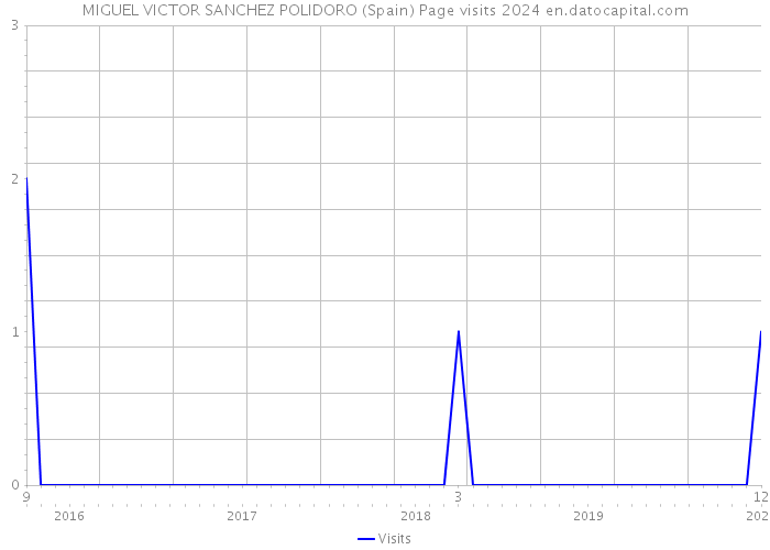 MIGUEL VICTOR SANCHEZ POLIDORO (Spain) Page visits 2024 