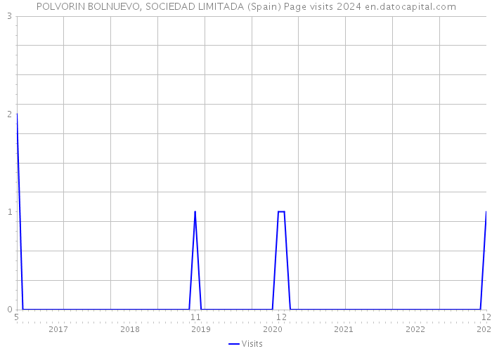 POLVORIN BOLNUEVO, SOCIEDAD LIMITADA (Spain) Page visits 2024 