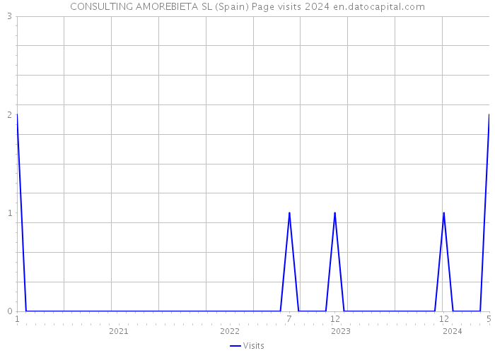 CONSULTING AMOREBIETA SL (Spain) Page visits 2024 