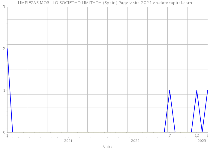 LIMPIEZAS MORILLO SOCIEDAD LIMITADA (Spain) Page visits 2024 