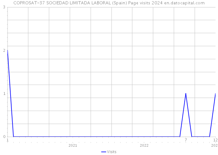 COPROSAT-37 SOCIEDAD LIMITADA LABORAL (Spain) Page visits 2024 
