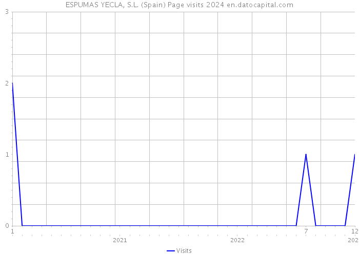 ESPUMAS YECLA, S.L. (Spain) Page visits 2024 