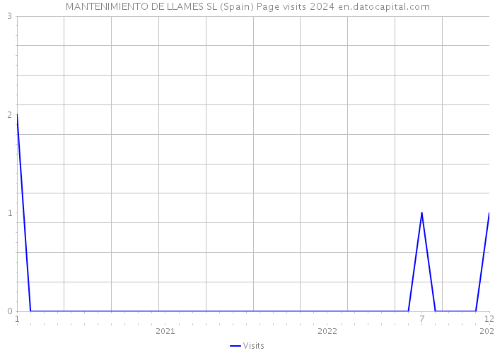MANTENIMIENTO DE LLAMES SL (Spain) Page visits 2024 