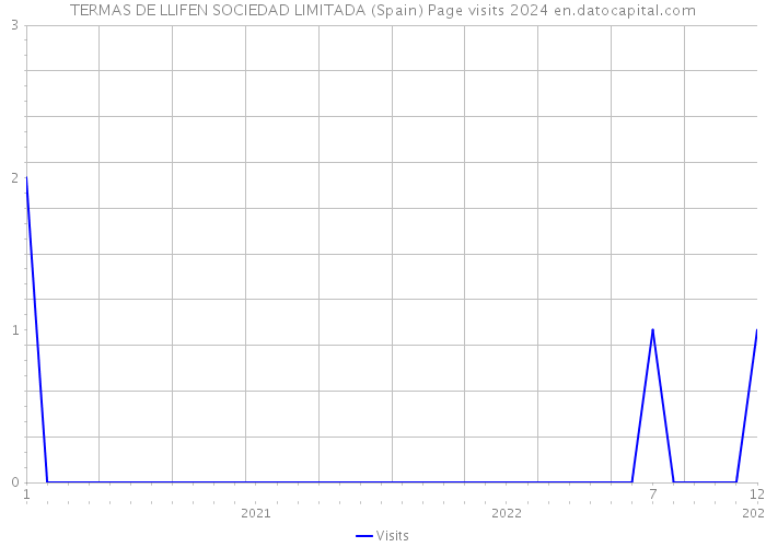 TERMAS DE LLIFEN SOCIEDAD LIMITADA (Spain) Page visits 2024 