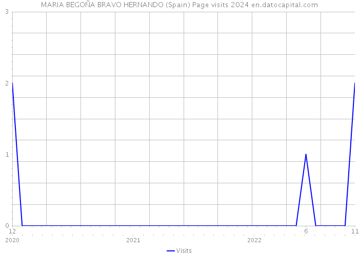 MARIA BEGOÑA BRAVO HERNANDO (Spain) Page visits 2024 