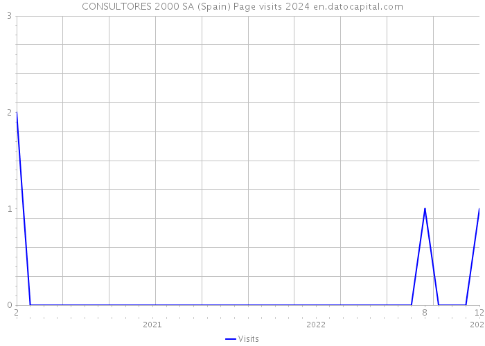CONSULTORES 2000 SA (Spain) Page visits 2024 