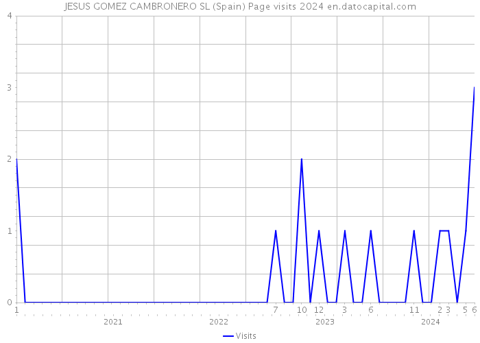 JESUS GOMEZ CAMBRONERO SL (Spain) Page visits 2024 