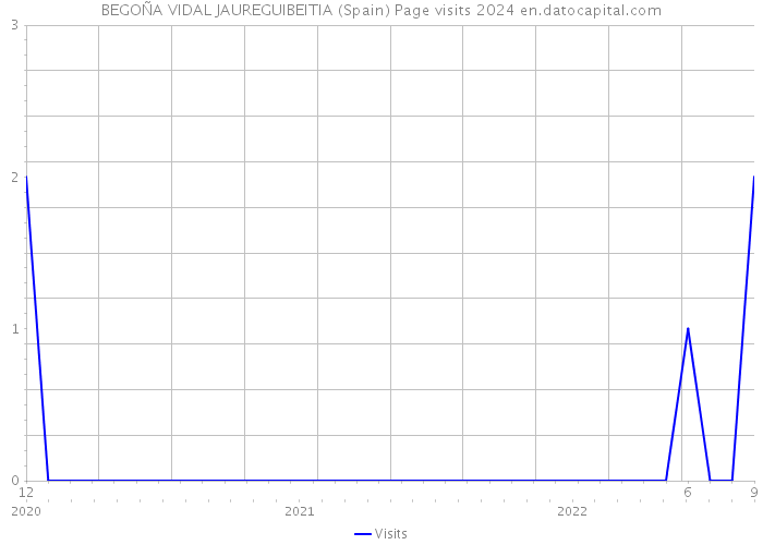 BEGOÑA VIDAL JAUREGUIBEITIA (Spain) Page visits 2024 