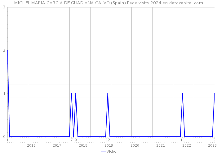 MIGUEL MARIA GARCIA DE GUADIANA CALVO (Spain) Page visits 2024 