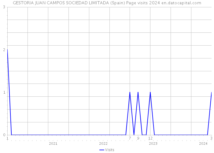 GESTORIA JUAN CAMPOS SOCIEDAD LIMITADA (Spain) Page visits 2024 